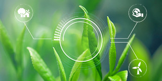 植物生长背景绿色小清新植物农业环保科技展板背景环保农业绿色科技